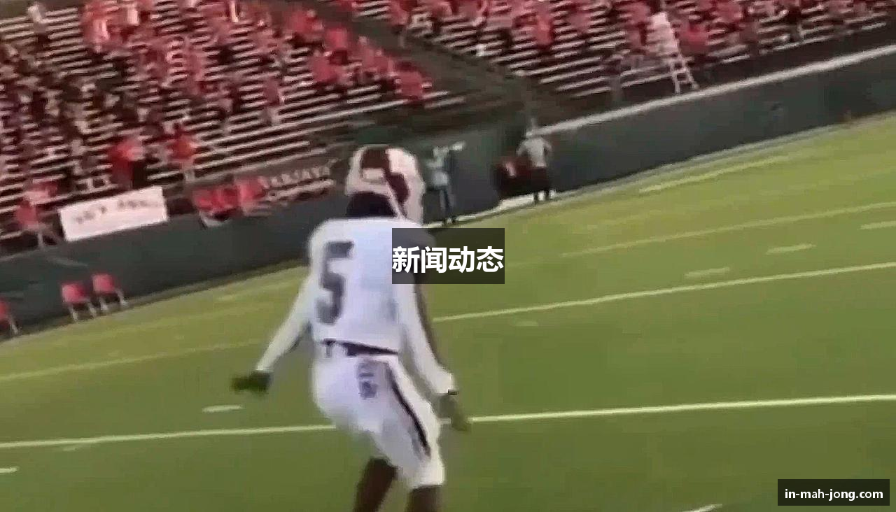 新闻动态